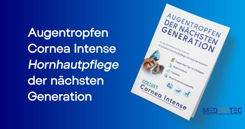 Ein Tierarzt verabreicht Cornea Intense Augentropfen einer Katze und einem Hund Pferd